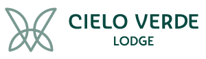 LOGOTIPO-WEB